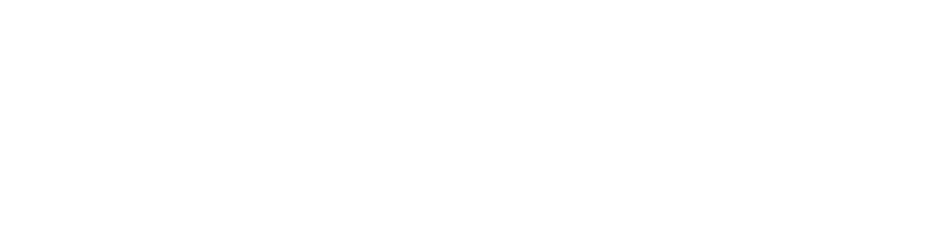 Rinsa Inc.